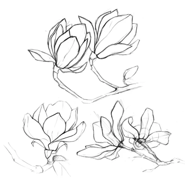   koleksiyon mürekkep çiçek deseni