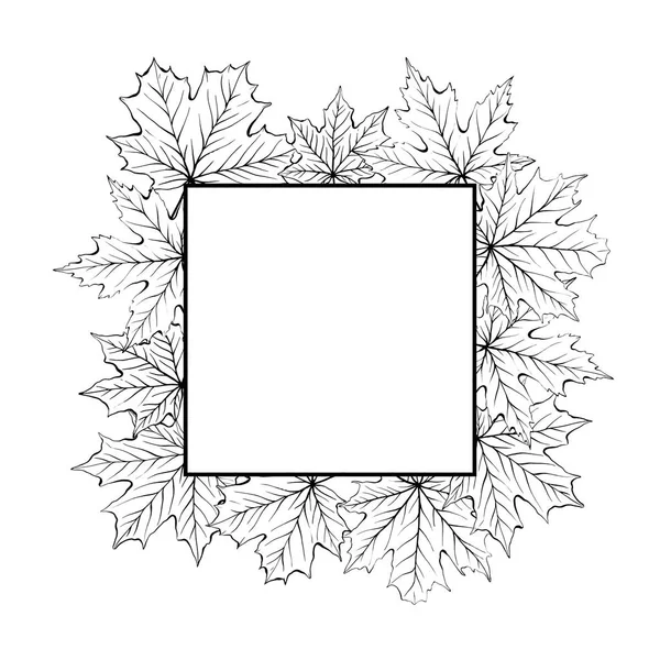 mürekkep akçaağaç yaprağı