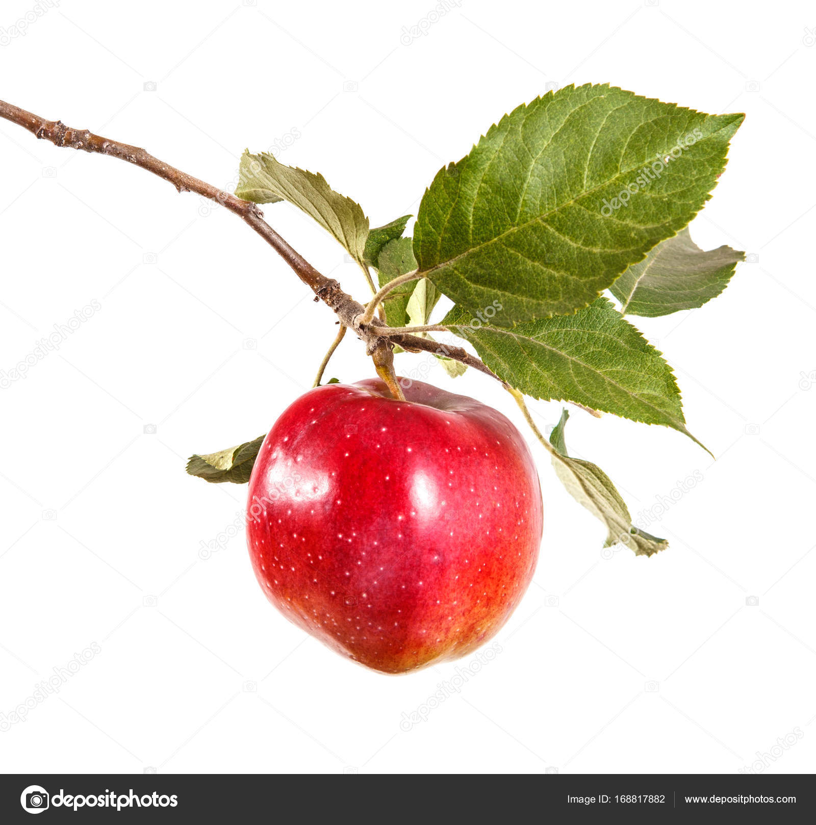 Steam Workshop::死宅的路, image size:1600x1618