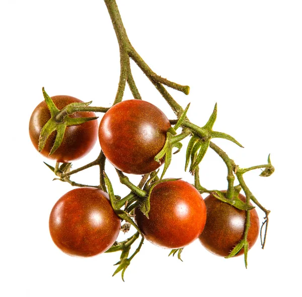 Tomates rojos cereza maduros en una rama. Aislado sobre fondo blanco — Foto de Stock