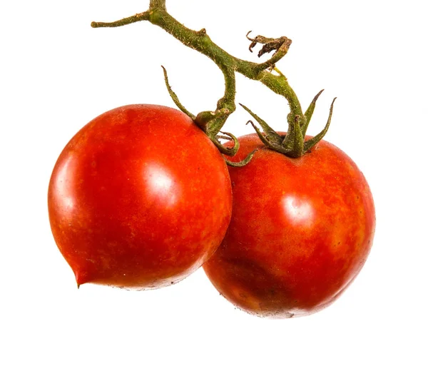 Olgun kırmızı domates dal. Beyaz arka plan üzerinde izole
