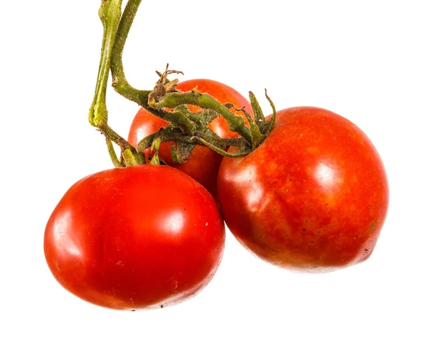 Tomates vermelhos maduros em um ramo. Isolado sobre fundo branco — Fotografia de Stock