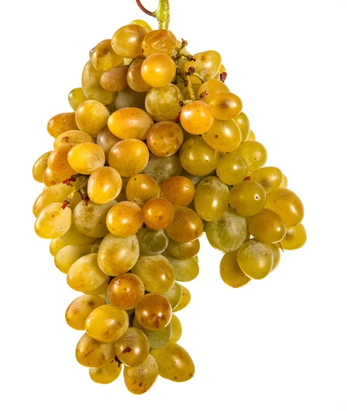 Ripe bunch of yellow grapes. Isolated on white background — Stock Photo, Image