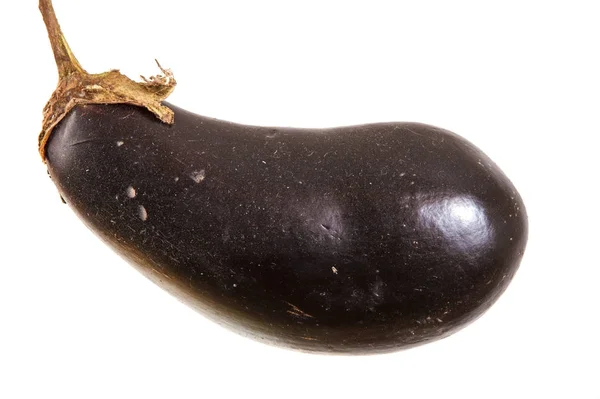 Rijp donker paars aubergine. geïsoleerd op witte achtergrond — Stockfoto