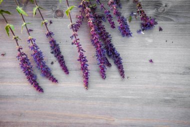 Ahşap doku, arka plan üzerinde adaçayı çiçek