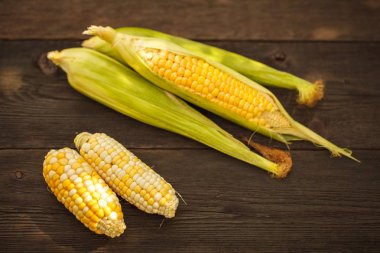 Mısır mısır ahşap doku. Metin için yer. Hasat.