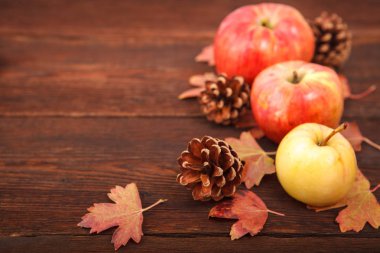 Sonbahar kavramı, düşmüş Kırmızı-Sarı Frenk üzümü yaprakları ile elma ve