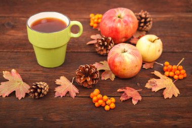 Elma ile çam kozalakları sonbahar kavramı, Kırmızı-Sarı düşmüş yaprakları