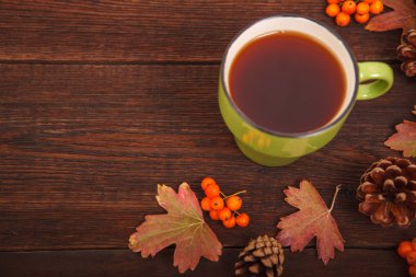 Elma ile çam kozalakları sonbahar kavramı, Kırmızı-Sarı düşmüş yaprakları