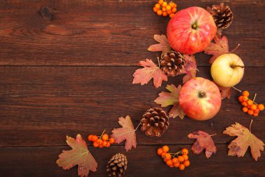 Kırmızı-Sarı düşmüş sonbahar konsepti ile çam kozalakları, elma bırakır