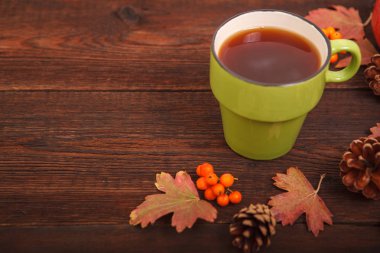 Elma ile çam kozalakları sonbahar kavramı, Kırmızı-Sarı düşmüş yaprakları