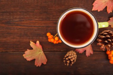 Elma ile çam kozalakları sonbahar kavramı, Kırmızı-Sarı düşmüş yaprakları