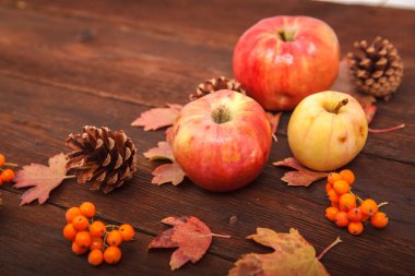 Kırmızı-Sarı düşmüş sonbahar konsepti ile çam kozalakları, elma bırakır