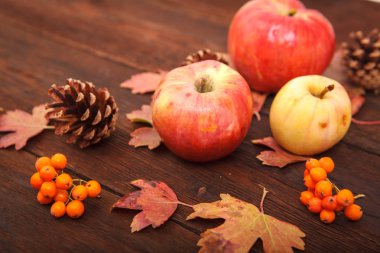 Kırmızı-Sarı düşmüş sonbahar konsepti ile çam kozalakları, elma bırakır