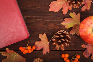 Kırmızı-Sarı düşmüş sonbahar konsepti ile çam kozalakları, elma bırakır