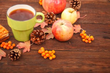 sonbahar kompozisyon. Natürmort. çilek dağ kül, çam co