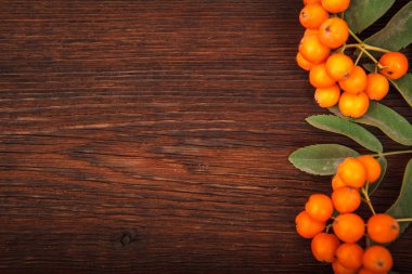 Üvez meyveleri bir ahşap zemin üzerine çerçeve. metin için yer