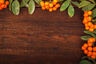 Üvez meyveleri bir ahşap zemin üzerine çerçeve. metin için yer