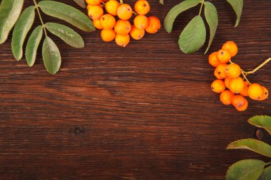 Üvez meyveleri bir ahşap zemin üzerine çerçeve. metin için yer