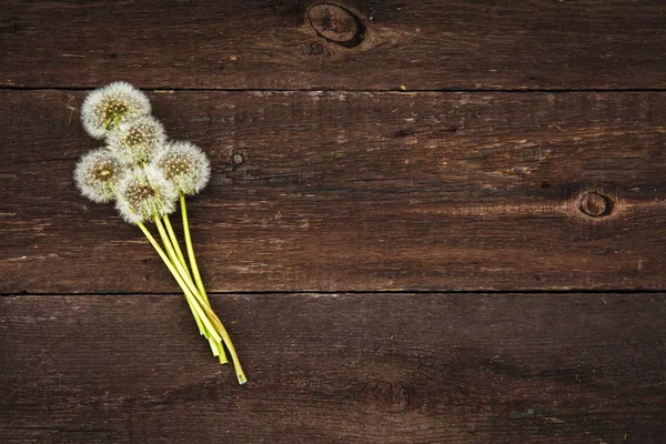 Paardebloem bloemen op een bruin houten tafel — Stockfoto