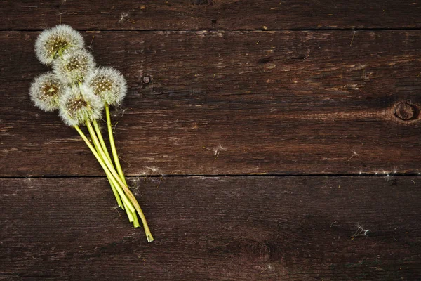 Dandelion flowers on a brown wooden table — Stock Photo, Image