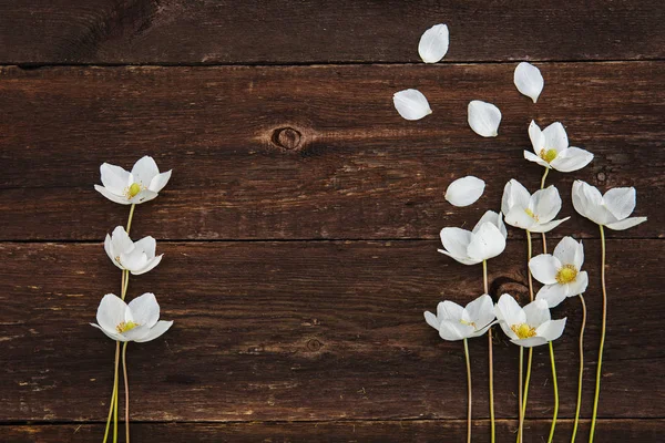 Witte anemonen op een oude houten achtergrond. — Stockfoto