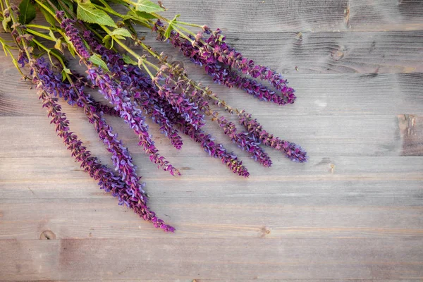 Ahşap doku, arka plan üzerinde adaçayı çiçek