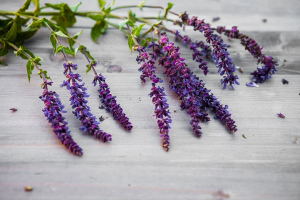 Fiore di salvia su una struttura di legno, sfondo — Foto Stock