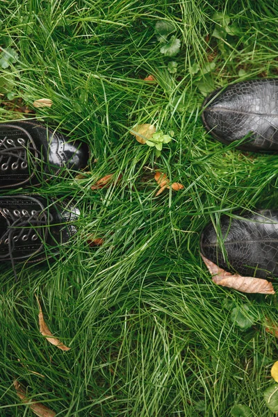 秋天的概念 秋天草上的鞋子 — 图库照片