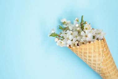 Mavi arka planda beyaz çiçekli dondurma külahı. Asgari bahar konsepti. Düz yatış, çiçekli arka plan. Mesaj için yer var.