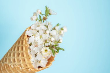 Mavi arka planda beyaz çiçekli dondurma külahı. Asgari bahar konsepti. Düz yatış, çiçekli arka plan. Mesaj için yer var.