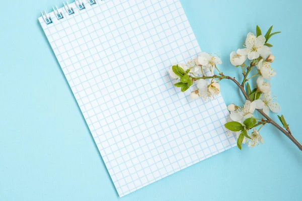 Blank sheet of notepad with white flowers on a blue background, space for text. Spring concept. Floral, spring background. Template, frame. Easter