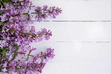 Çiçek kompozisyonu. Beyaz ahşap arka planda leylak çiçekleri çerçevesi. Düz konum, metin için boşluk.