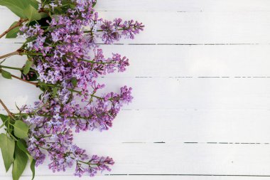 Çiçek kompozisyonu. Beyaz ahşap arka planda leylak çiçekleri çerçevesi. Düz konum, metin için boşluk.