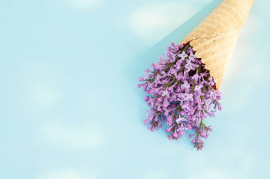 Çiçek kompozisyonu. Mavi arka planda dondurma külahında leylak çiçekleri. Düz uzanış, metin için boşluk. Sevgililer Günü, Anneler Günü, Kadınlar Günü konsepti.