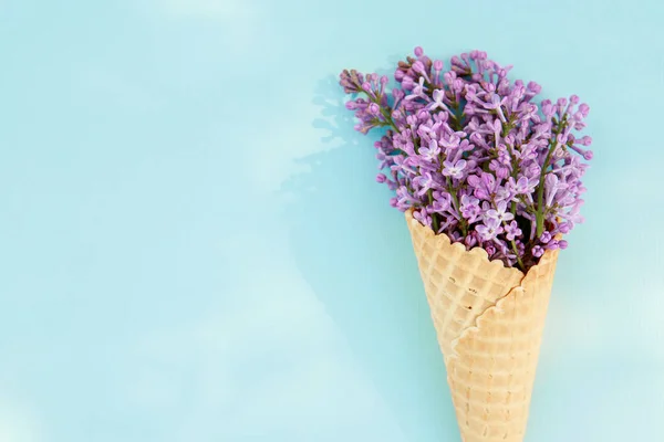 Flowers composition. Lilac flowers in an ice cream cone on a blue background. Flat lay, space for text. Valentine\'s day, mother\'s day, womens day concept.