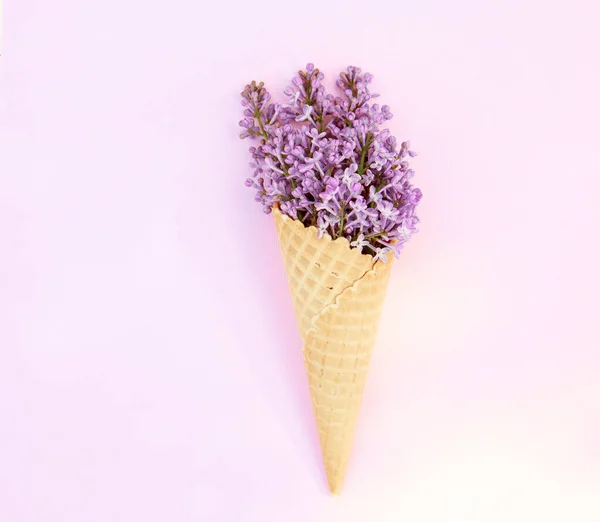 Lilac Flowers Ice Cream Cone Pink Background Spring Composition Flat — Stock Photo, Image