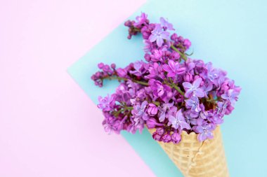 Pembe-mavi arka planda, dondurma külahında leylak çiçekleri. Çiçek aranjmanı. Düz uzanış, metin için boşluk. Sevgililer Günü, Anneler Günü, Kadınlar Günü konsepti.