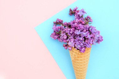 Çiçek aranjmanı. Pembe-mavi arka planda, dondurma külahında leylak çiçekleri. Düz uzanış, metin için boşluk. Sevgililer Günü, Anneler Günü, Kadınlar Günü konsepti.