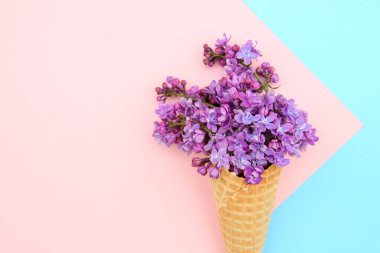 Pembe-mavi arka planda, dondurma külahında leylak çiçekleri. Çiçek aranjmanı. Düz uzanış, metin için boşluk. Sevgililer Günü, Anneler Günü, Kadınlar Günü konsepti.