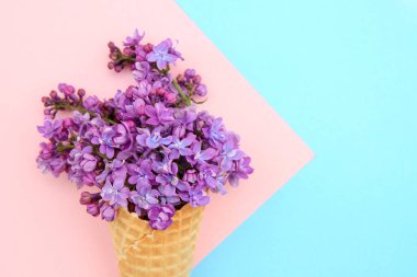 Çiçek aranjmanı. Pembe-mavi arka planda, dondurma külahında leylak çiçekleri. Düz uzanış, metin için boşluk. Sevgililer Günü, Anneler Günü, Kadınlar Günü konsepti.