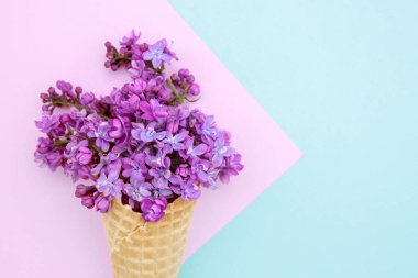 Pembe-mavi arka planda, dondurma külahında leylak çiçekleri. Çiçek aranjmanı. Düz uzanış, metin için boşluk. Sevgililer Günü, Anneler Günü, Kadınlar Günü konsepti.