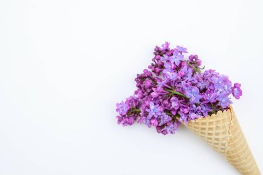 Çiçekli bahar arkaplanı. Beyaz arka planda, dondurma külahında leylak çiçekleri. Düz uzanış, metin için boşluk. Sevgililer Günü, Anneler Günü, Kadınlar Günü konsepti.