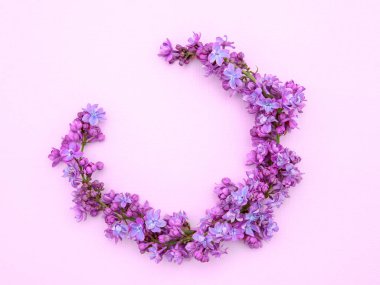 Pembe arka planda leylak çiçekleri kompozisyonu. Çiçekli bahar arkaplanı. Düz uzanış, metin için boşluk. Sevgililer Günü, Anneler Günü, Kadınlar Günü konsepti.