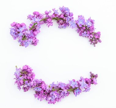 Çiçekli bahar arkaplanı. Beyaz arka planda leylak çiçeklerinin düzenlenmesi. Düz uzanış, metin için boşluk. Sevgililer Günü, Anneler Günü, Kadınlar Günü konsepti.