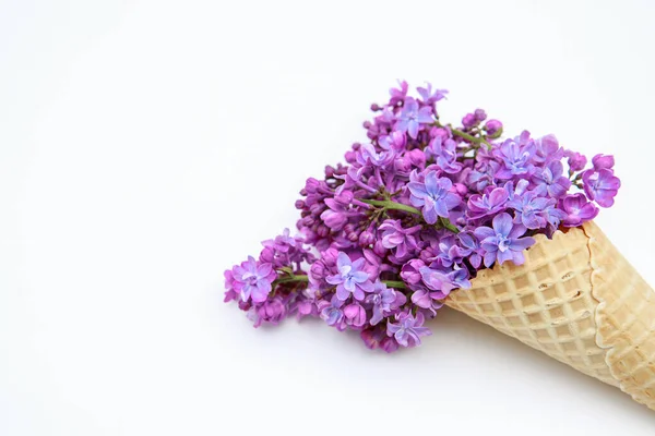 Floral Spring Background Lilac Flowers Ice Cream Cone White Background — Stock Photo, Image