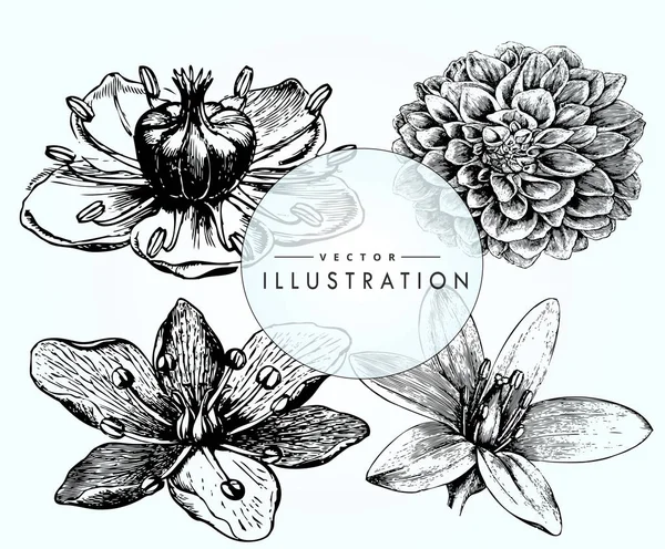 Conjunto Flores Vintage Desenhos Tatuagem Idéia Elegante Para Tatuagem Botânica —  Vetores de Stock
