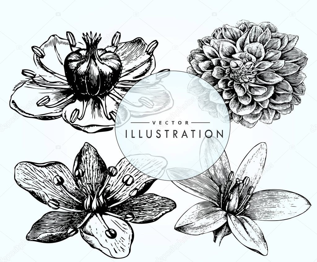set of vintage flowers designs tattoo. Stylish idea for botany tattoo: lush chrysanthemum, beautiful poppy, blooming magnolia