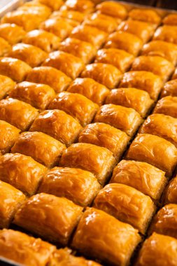 Antep fıstığı ve cevizli geleneksel Türk tatlı baklavası.