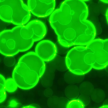 Virüs hücreleri mikroskoptan alınmış gibi